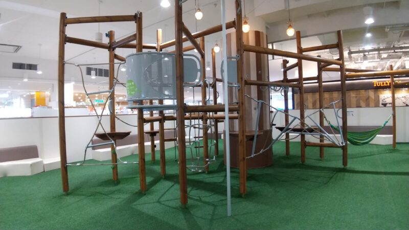 長老の木(3～6歳)