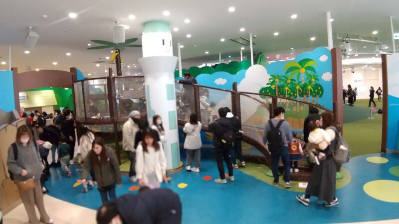 アスレチック