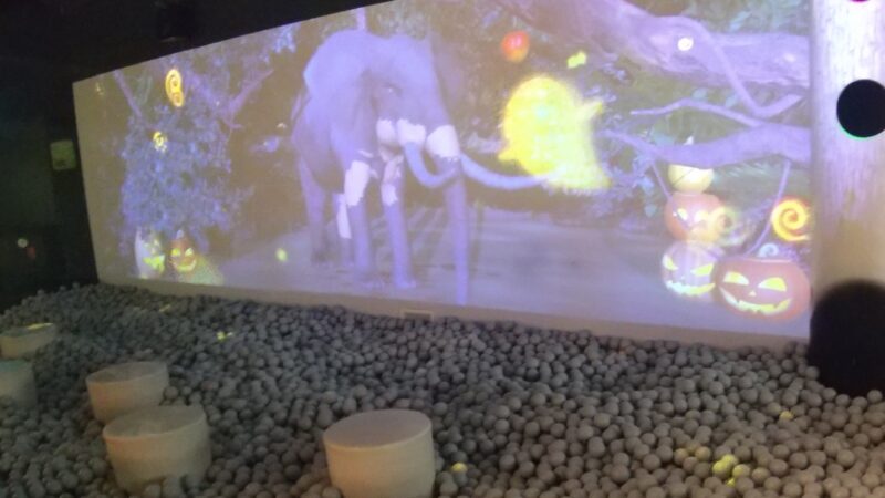 どろんこジャングル