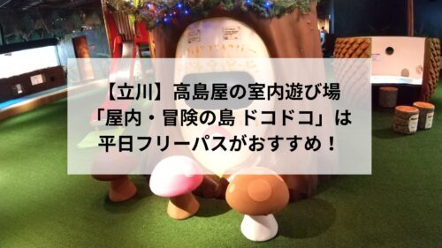 【立川】高島屋の室内遊び場「屋内・冒険の島 ドコドコ」は平日フリーパスがおすすめ！